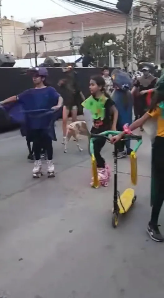Bicicletearte_IV_DinoCletas_FG.mp4